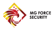MG Force Security